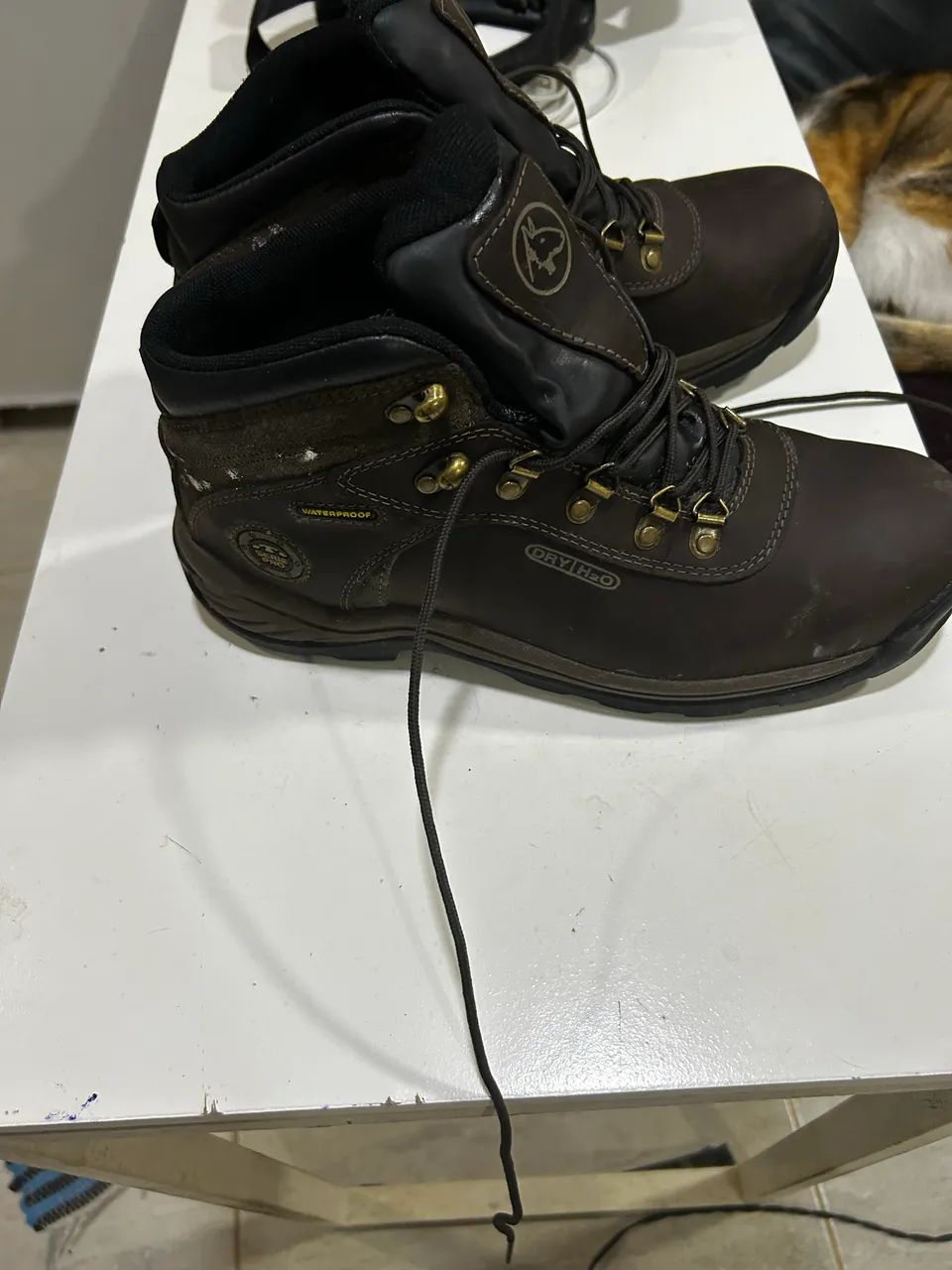 Bota masculino - Foto 5