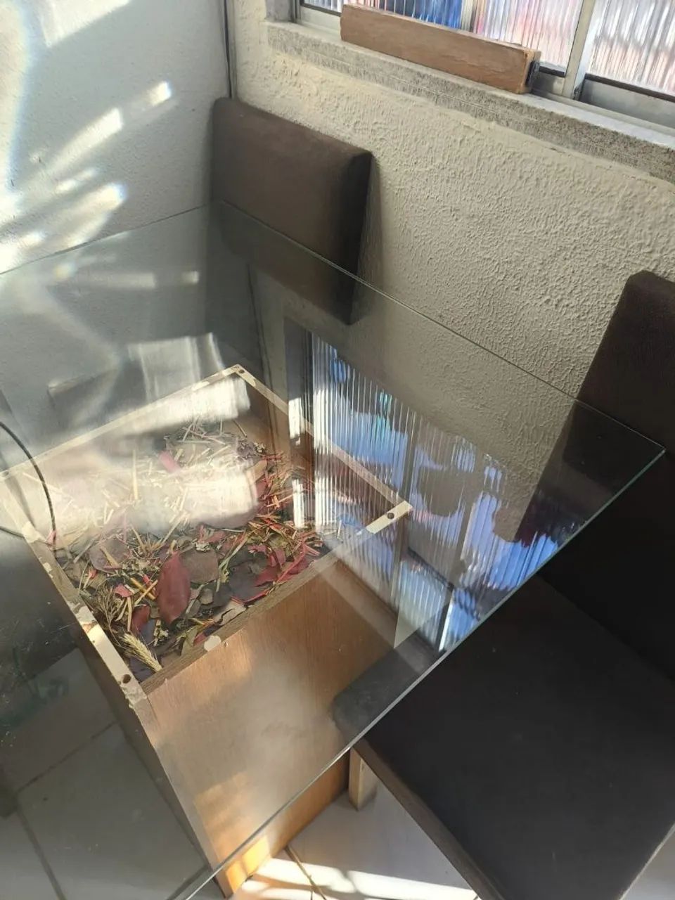 Mesa de vidro com cadeira de madeira  - Foto 2