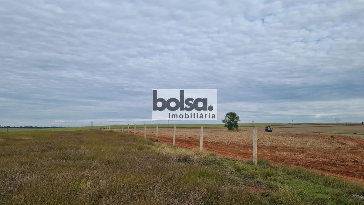 FAZENDA ARRENDADA CANA AÇUCAR - Foto 2