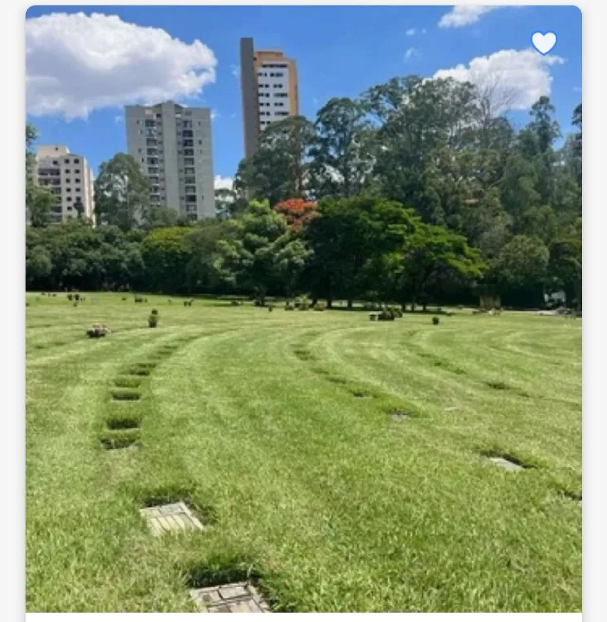 Jazigo Cemitério do Morumbi  - Foto 5