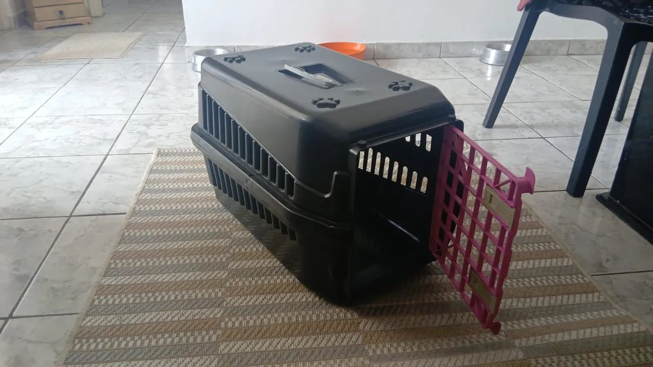 Caixa para transpirte de animais - Foto 2