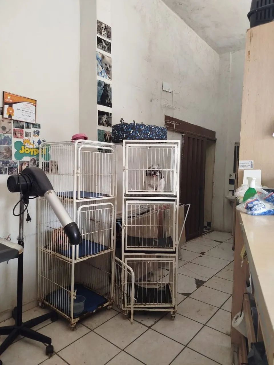 Vendo banho e tosa 15.000 - Foto 5