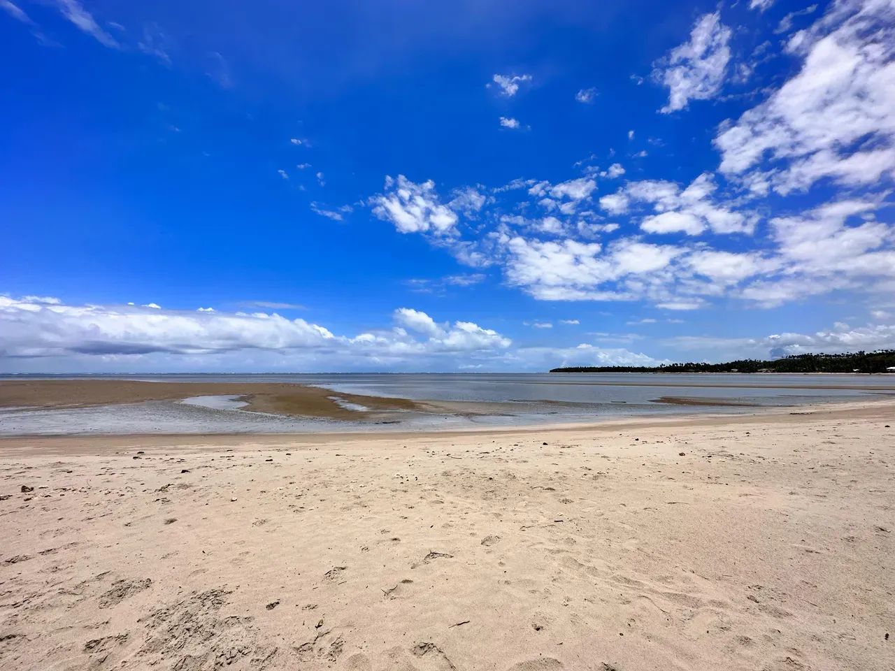 Japaratinga. Área com 8 hectares (80mil metros quadrados), Litoral Nortee - Foto 11