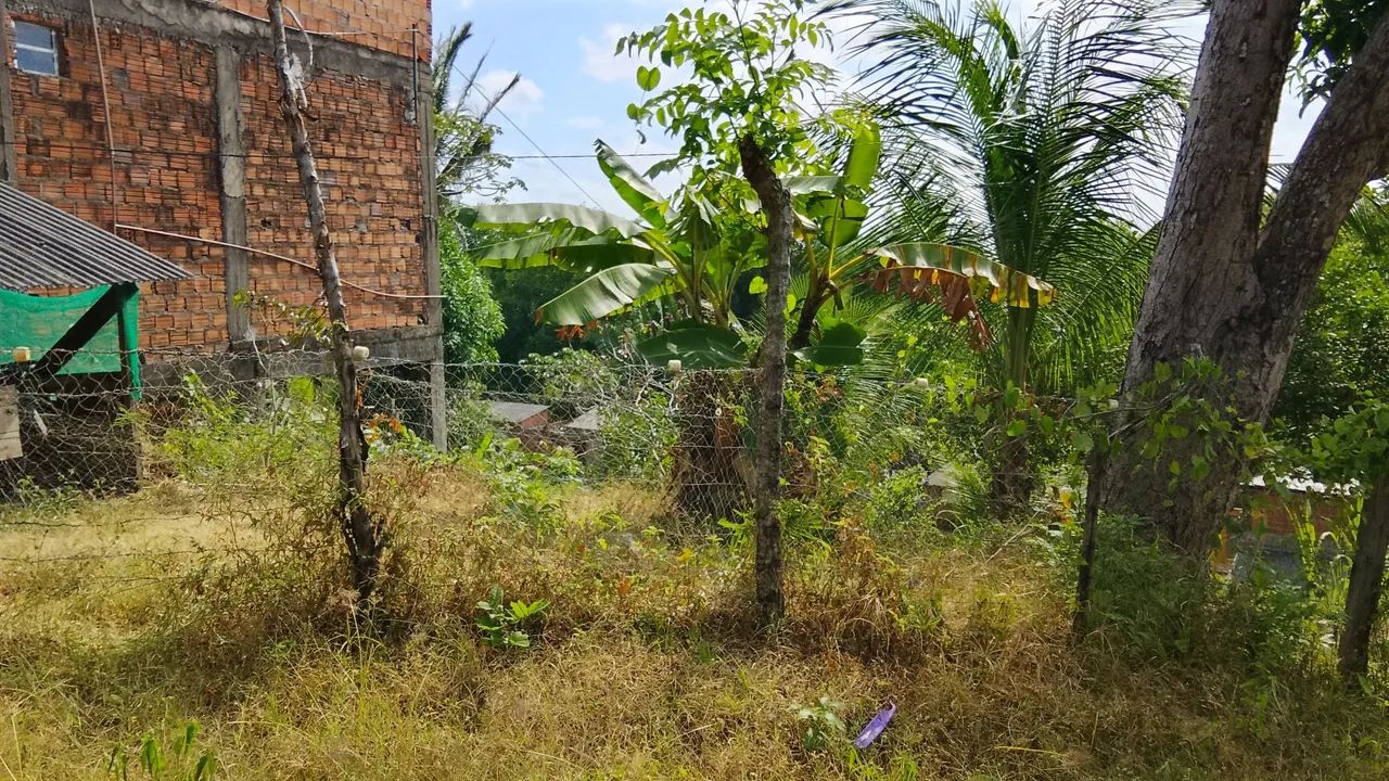 Vendo terreno residencial paraíso  - Foto 3