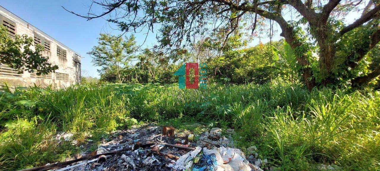 Vargem Grande | Terreno - Foto 13