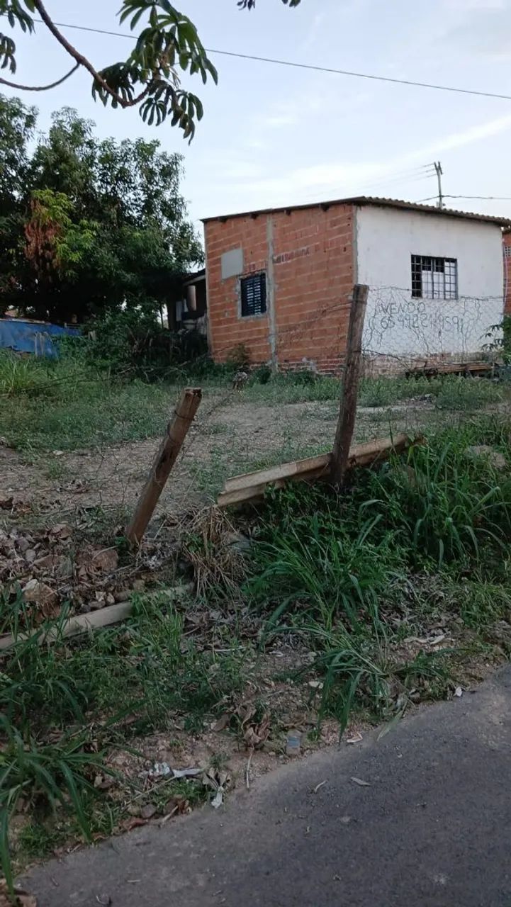 Lote
