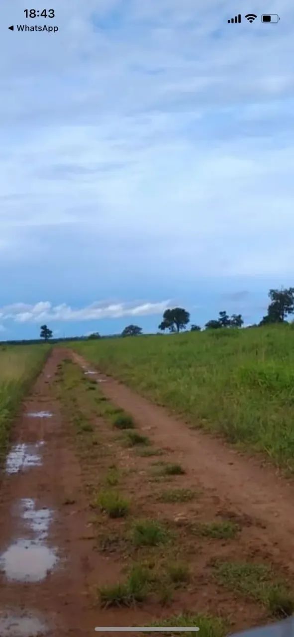Fazenda a venda em  - Araguaçu - Tocantins - Foto 3