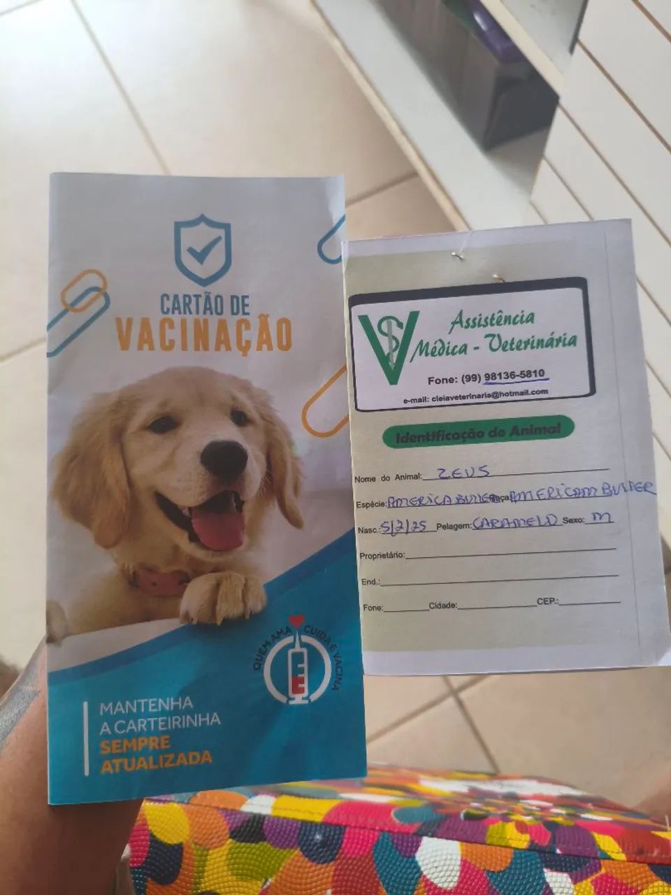 Pet  - Foto 5