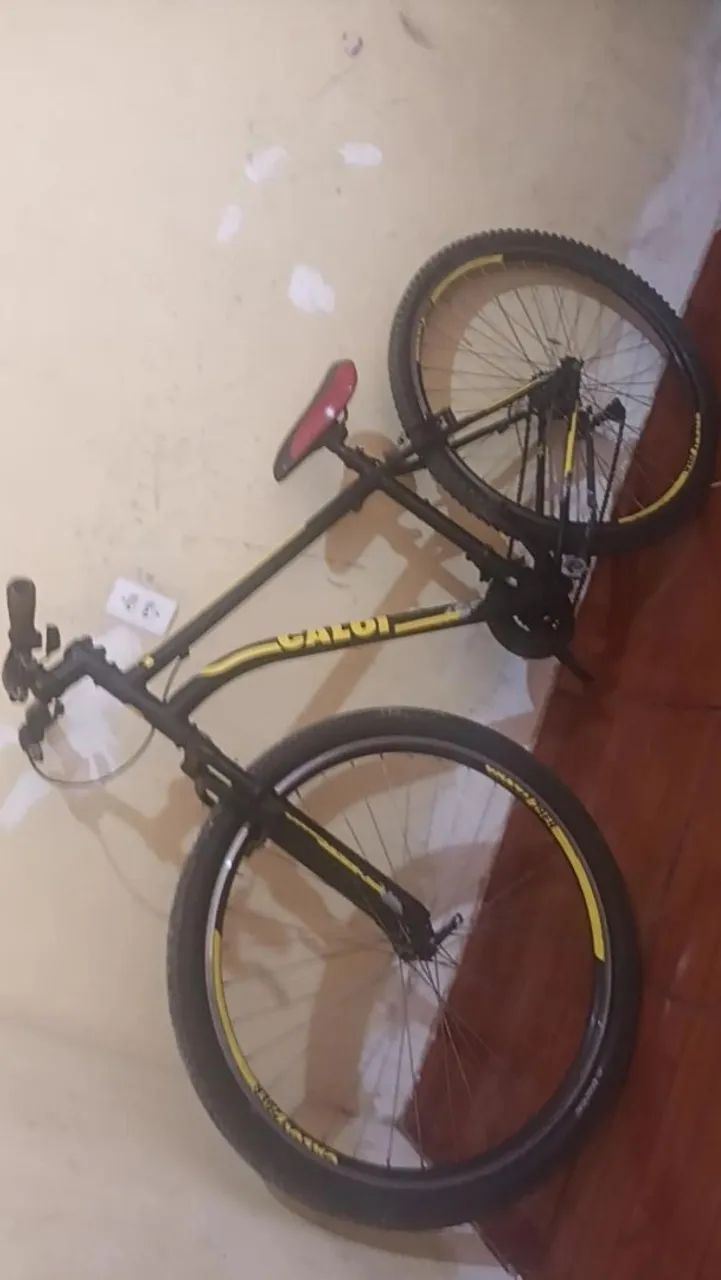 Bike aro 29