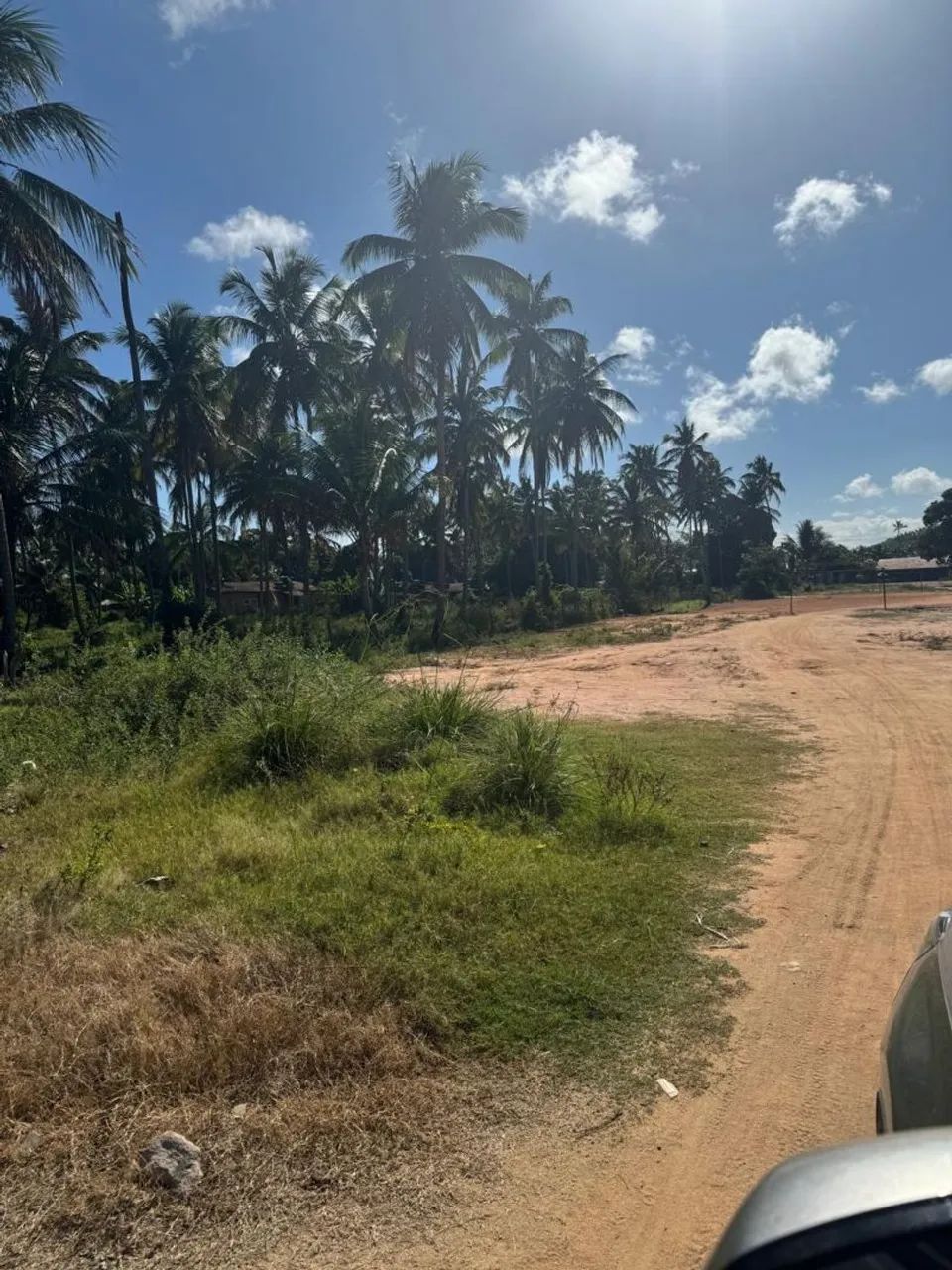 Terreno em Porto de Pedras  - Foto 5