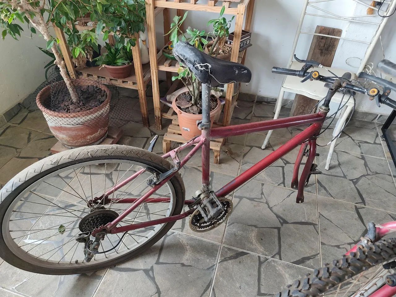 Bicicleta  - Foto 2