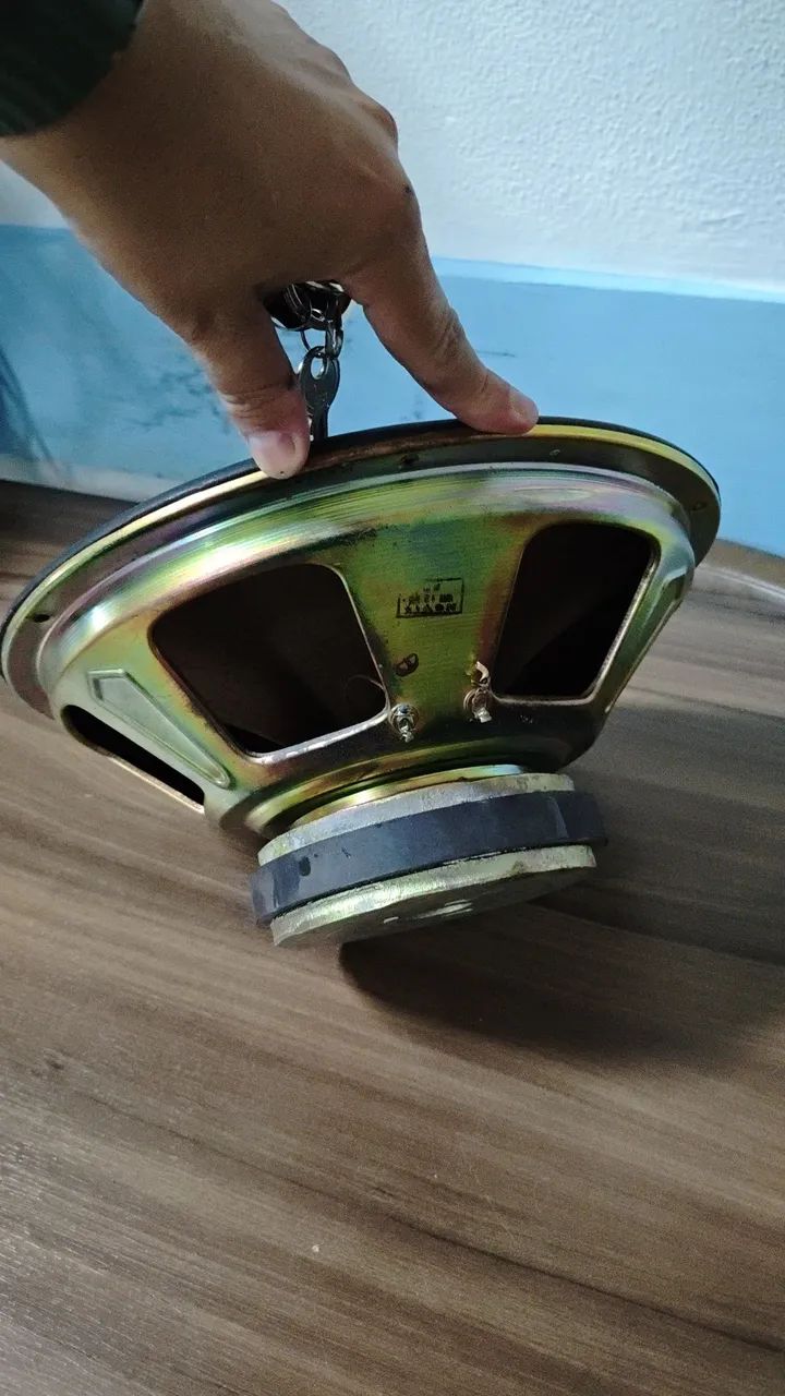 Auto-falante 12" e tweeter 50w