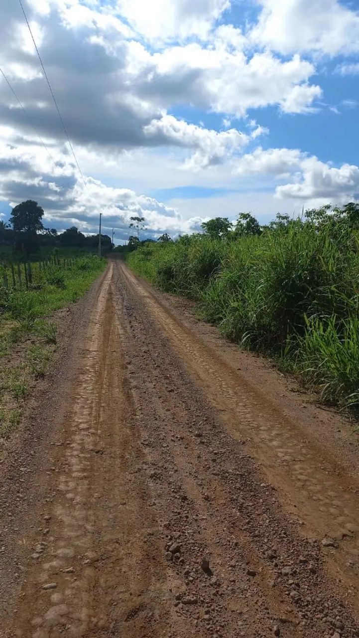 Vende se chácara em Tabocal Santarém  - Foto 5
