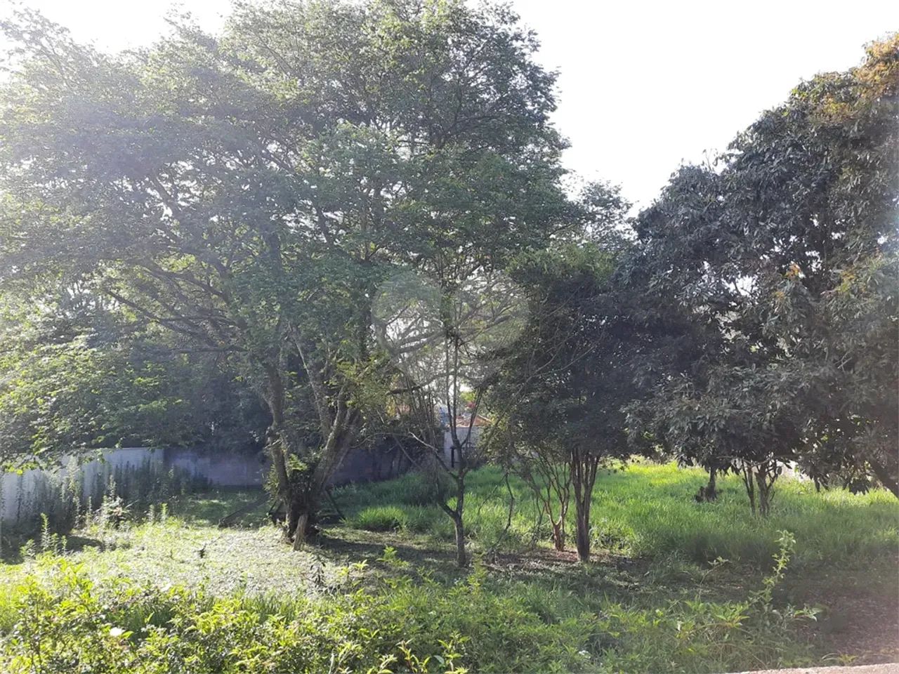 Terreno à venda em Interlagos - SP - Foto 3