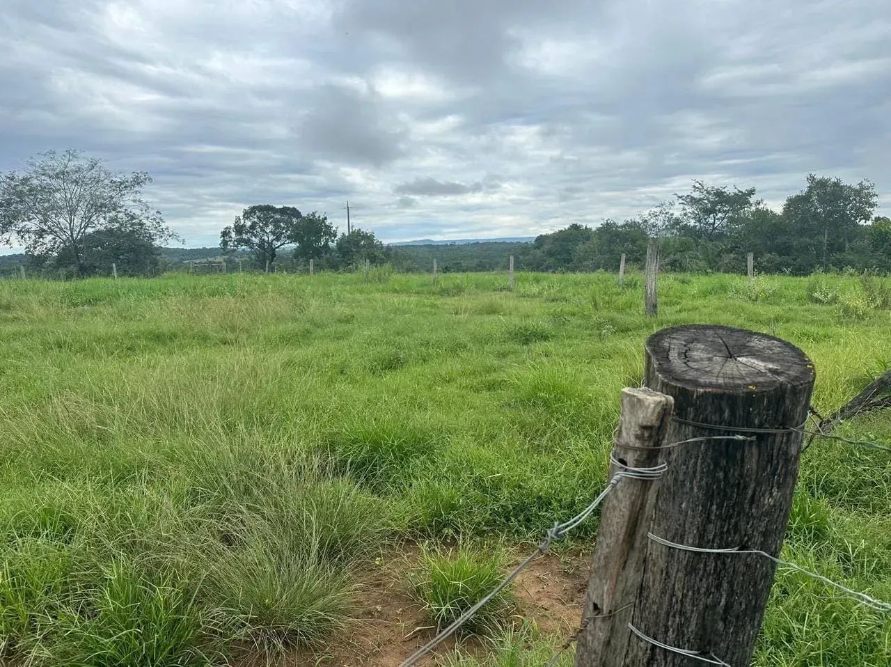 COD321- Fazenda 102 HECTARES- ROCHEDO/MS.