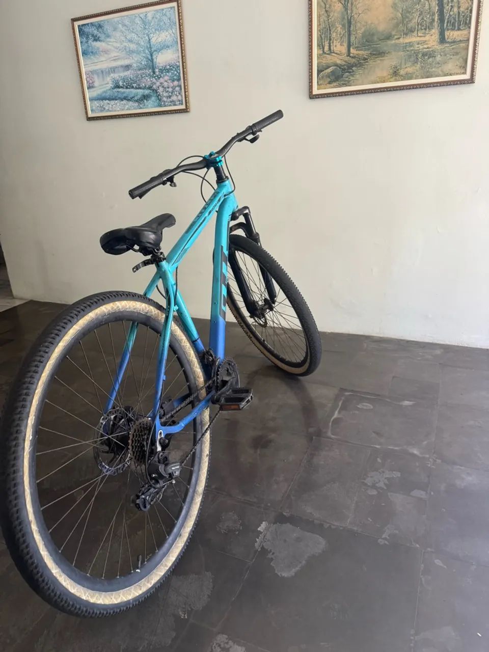 Bicicleta 