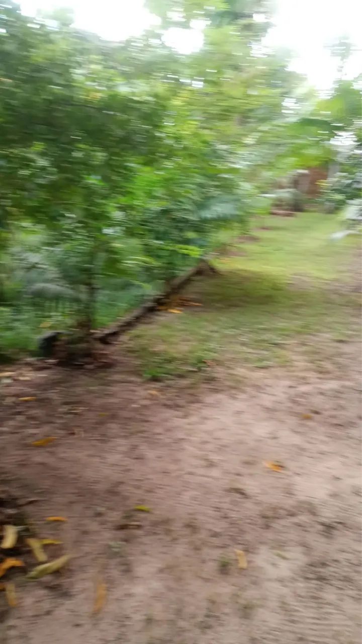 Vendo Sítio em Icoraci  - Foto 4