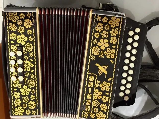 Acordeon Hering 8 baixos - Beija Flor