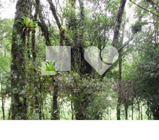 Terreno - Foto 3