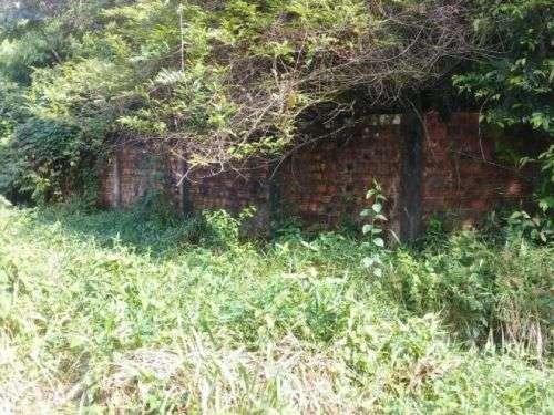 Barbada!!! Vendemos com exclusividade um Sítio/Terreno com 10,6 hectares - Foto 12