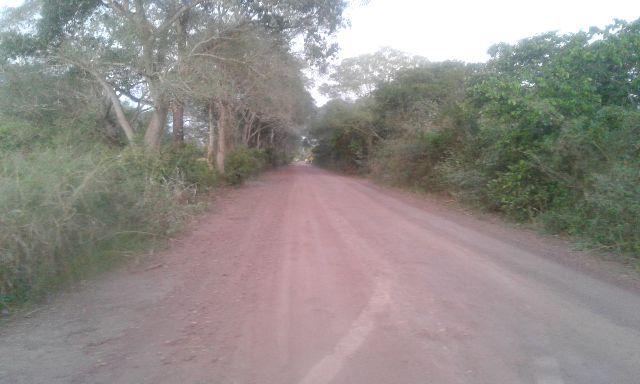 Fazenda na estrada parque de corumba ms