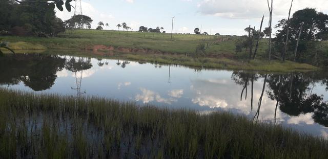 Chácara à venda de 1 alqueires e meio no município de Firminópolis - Foto 17