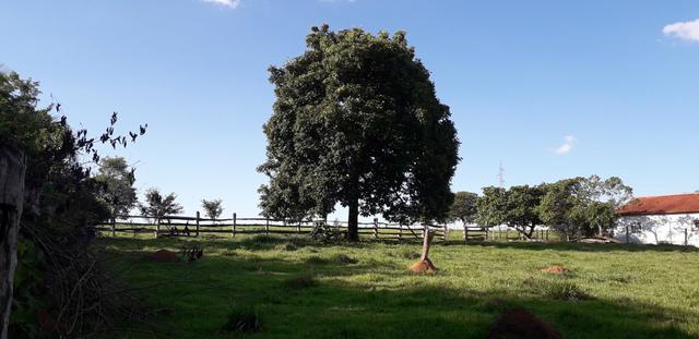 Chácara à venda de 1 alqueires e meio no município de Firminópolis - Foto 20