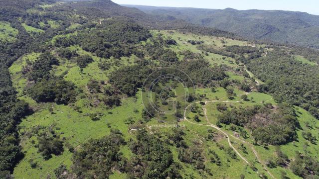 Fazenda 380 ha, na região de são vicente - Foto 2