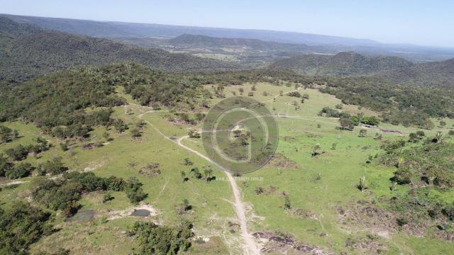 Fazenda 380 ha, na região de são vicente - Foto 5