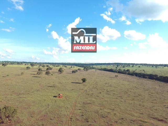 Fazenda dupla apitidão 200 Alqueires ( 968 hectares ) Itajá-GO - Foto 13