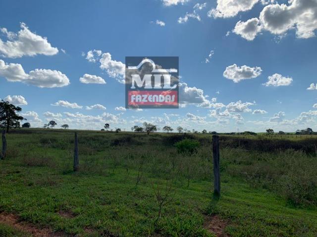 Fazenda Dupla Aptidão Sudoeste Goiano total 226 Alqueires ( 1.093 hectares ) Itajá-GO - Foto 4