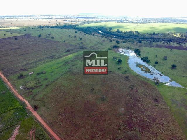 Fazenda Dupla Aptidão Sudoeste Goiano total 226 Alqueires ( 1.093 hectares ) Itajá-GO - Foto 14