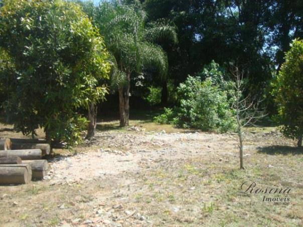 Terreno à venda, 399 m² por r$ 93.000,00 - nucleo do rio pinto - morretes/pr - Foto 9