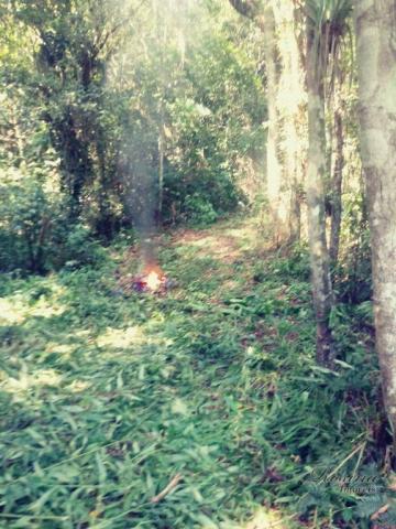 Terreno com 36.300 m² com registro de imóveis de frente para o asfalto - Foto 10