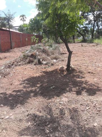 Oportunidade Tropical Ville