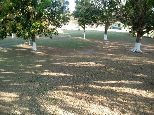 Fazenda 163 hectares, no chapel do sol, em Acorizal - Foto 12
