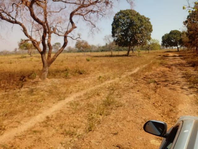 Fazenda em Livramento com piscina, muito pasto, represas e lago - Foto 11