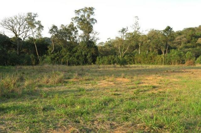 Terreno para Venda, São Bento do Sul / SC, bairro Rio Vermelho Estação - Foto 14