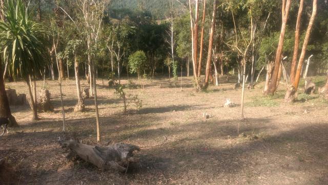 Troco ou vendo Chácara 13.000m2 - Foto 10