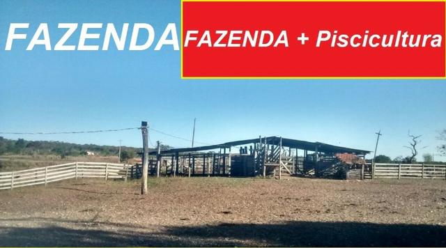 Vendo/troco sitio com piscicultura, pego imoveis em MT