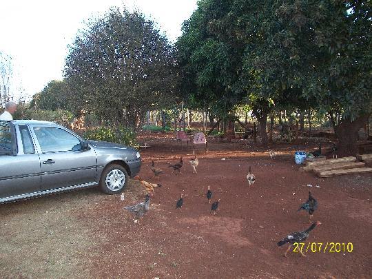 Chácara à venda em Centro, Brodowski cod:V70220 - Foto 7