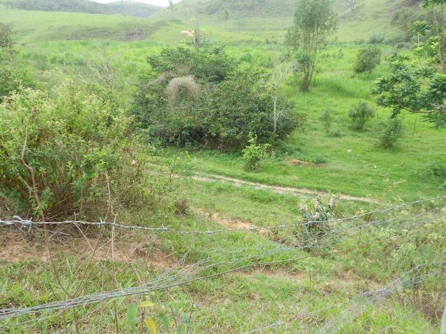 Jordão Corretores - Fazendinha leiteira 5 alqueires - Foto 20