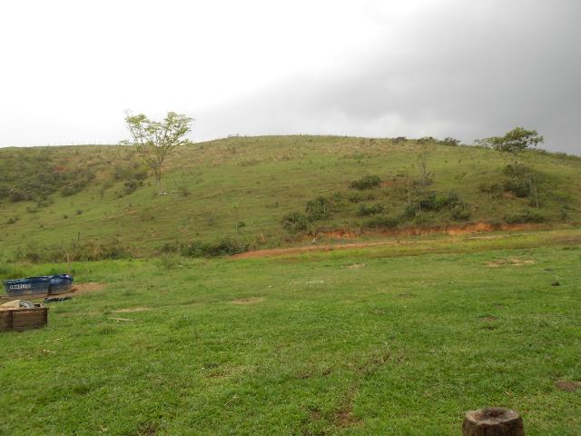 Jordão Corretores - Fazendinha leiteira 5 alqueires - Foto 17