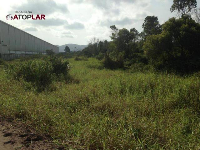 Terreno à venda, 300 m² por R$ 130.000,00 - São Domingos - Navegantes/SC