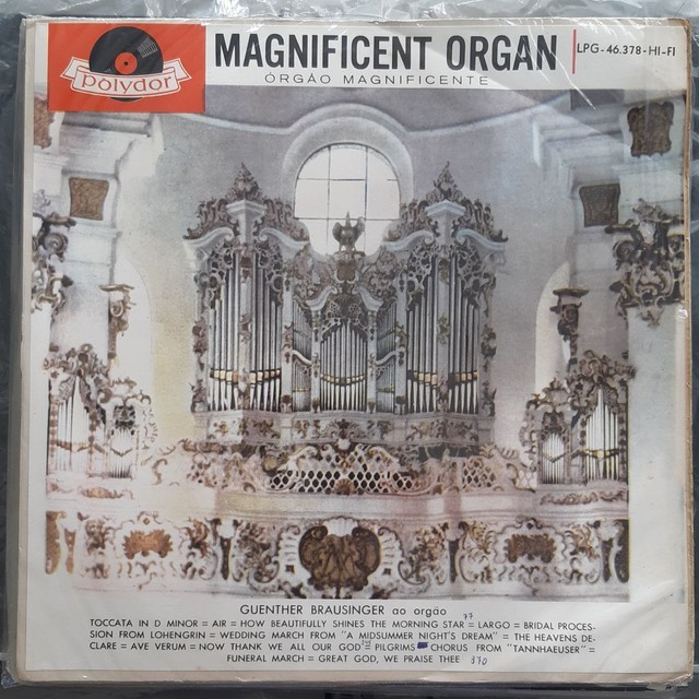 Vinil órgão de tubo