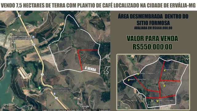 Terreno rural com lavoura de café 7.5 hectare  ( Gleba 3 )