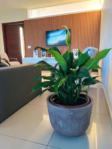 Casa com piscina para temporada em Porto Seguro-BA - Foto 4