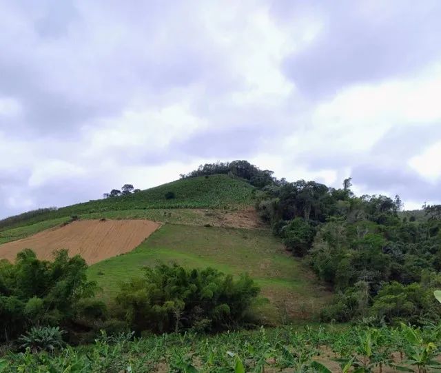 Oportunidade Única de Investimento: Terreno à Venda em Perobas, Domingos Martins! - Foto 3