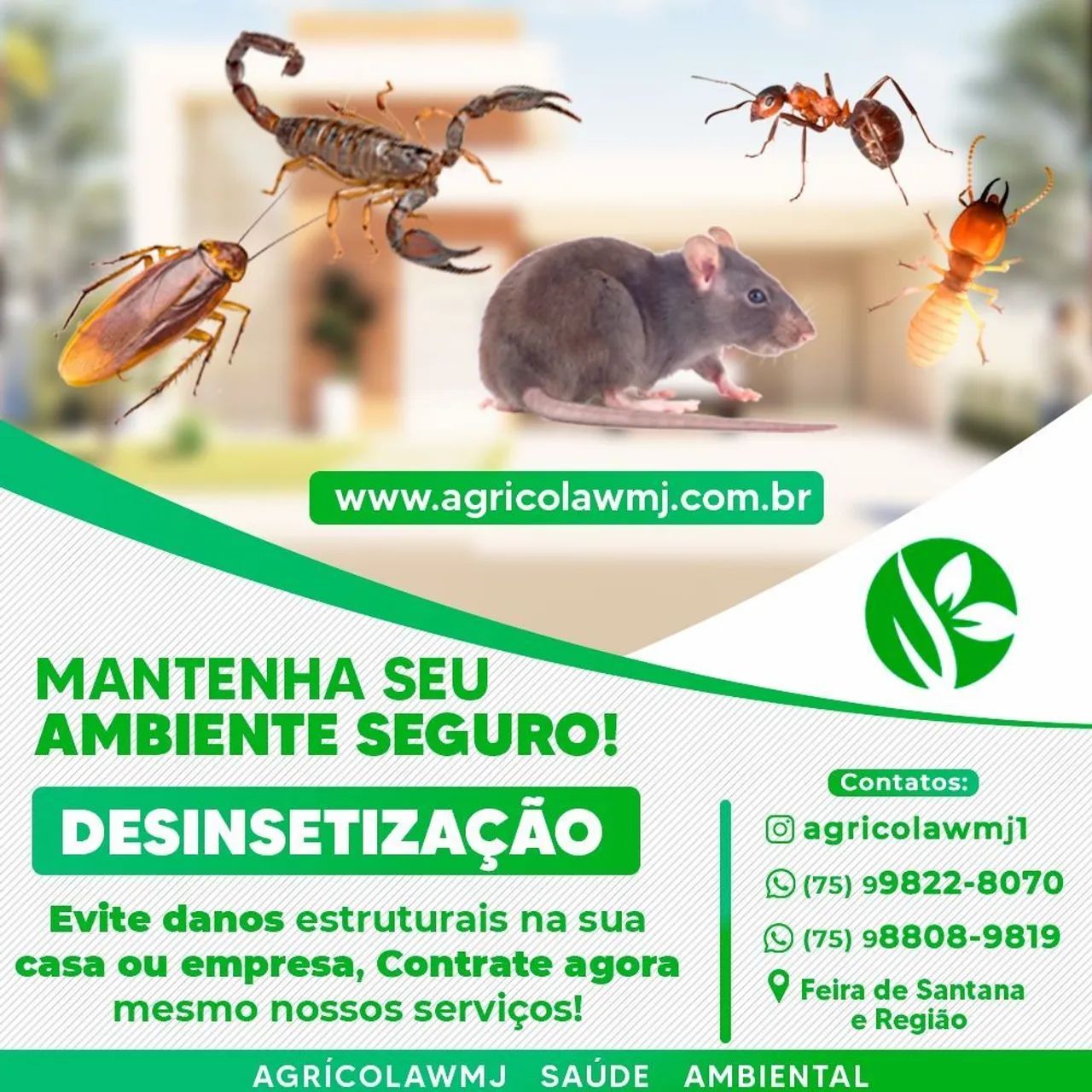 Dedetização 