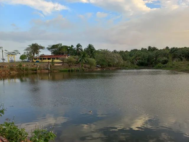 Vendo Fazenda BR 135 - Foto 4